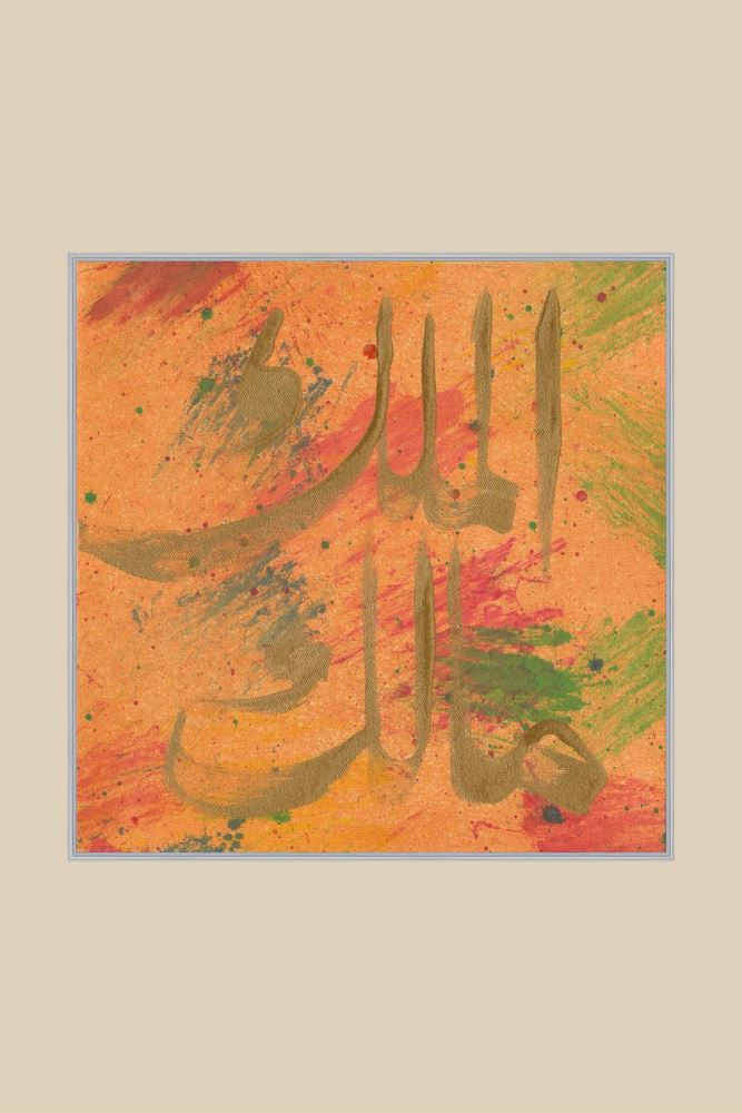 GÜMÜŞ MÜLKÜN SAHİBİ-1 HAT TABLOSU