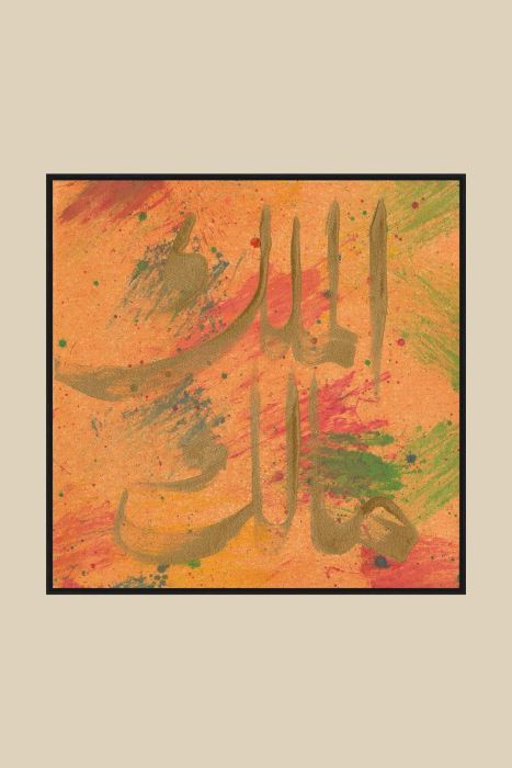 SİYAH MÜLKÜN SAHİBİ-1 HAT TABLOSU