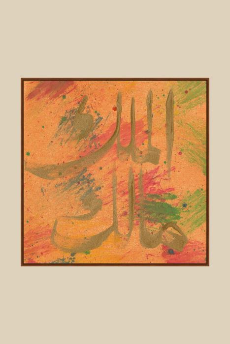 CEVİZ AHŞAP MÜLKÜN SAHİBİ-1 HAT TABLOSU